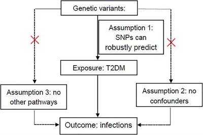 No Casual Relationship Between T2DM and the Risk of Infectious Diseases: A Two-Sample Mendelian Randomization Study